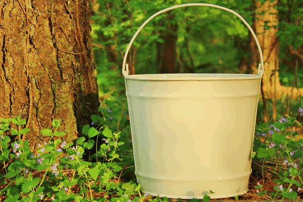 Color Gift Buckets