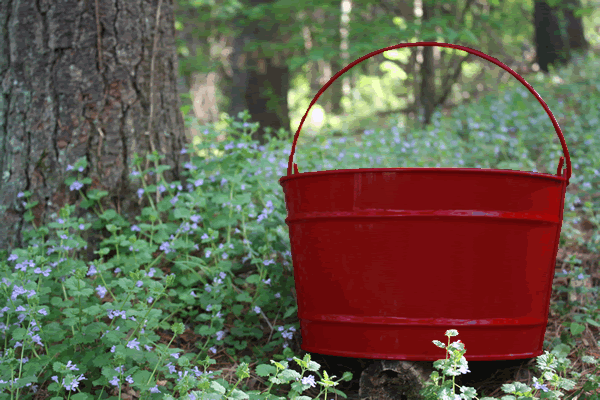 Large Metal Bucket