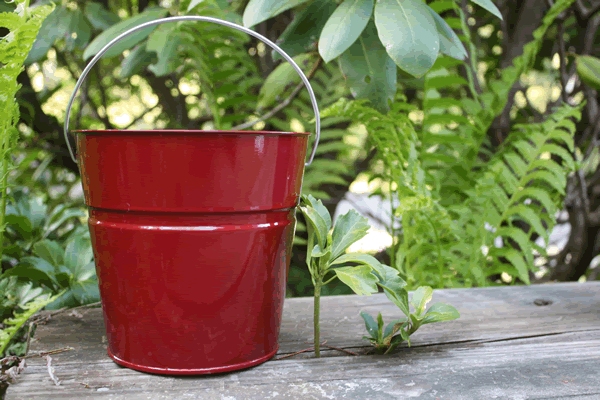 Decoration and Storage Buckets