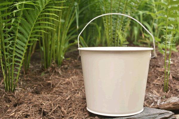 5 Quart Buckets With Lids