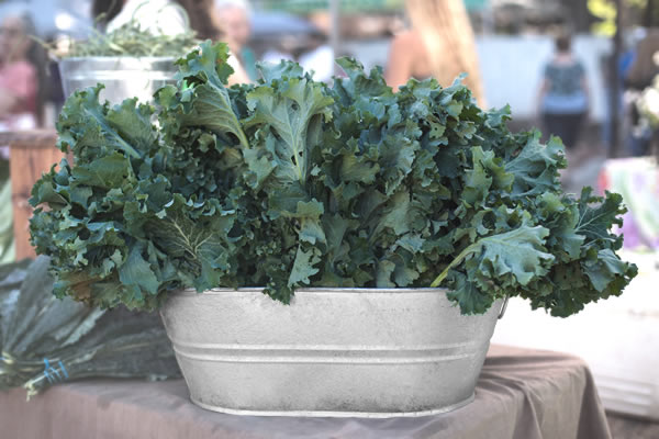 4 Gallon Galvanized Garden Tub