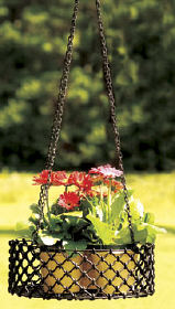Achla Lattice Herb Basket 