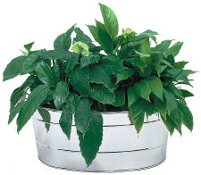 Oval Stainless Steel Tub 