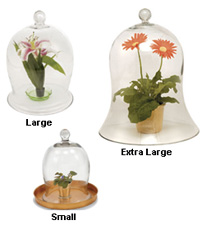 Achla Bell Jars 