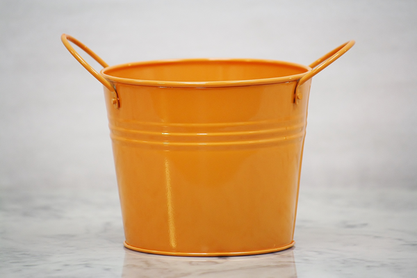 Birthday Bucket