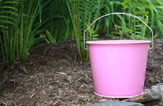 pink 5 quart pail