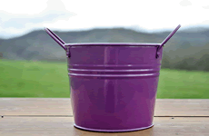 purple small decorative pail