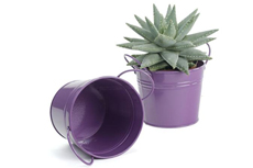 Purple Tin Bucket