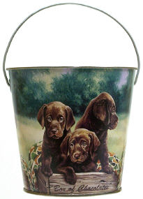 Box of Chocolate Pail 