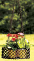Achla Lattice Herb Basket