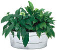 Oval Stainless Steel Tub
