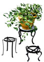 Plant Stands