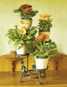 Achla Cascading Plant Stand