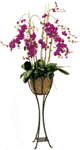 Achla Verandah Plant Stand