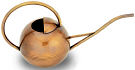Brass Watering Can