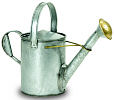Galvanized Short Necked Watering Can