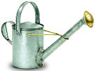 Galvanized Long Necked Watering Can