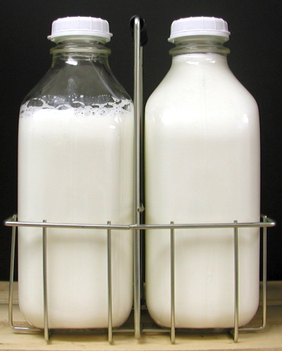 Glass Milk Bottles - Bucket Outlet