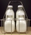 4 Cell Wire Milk Bottle Carrier