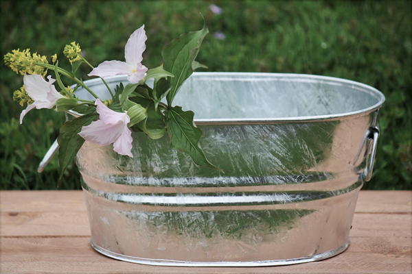 1 Gallon Galvanized Oval Tub