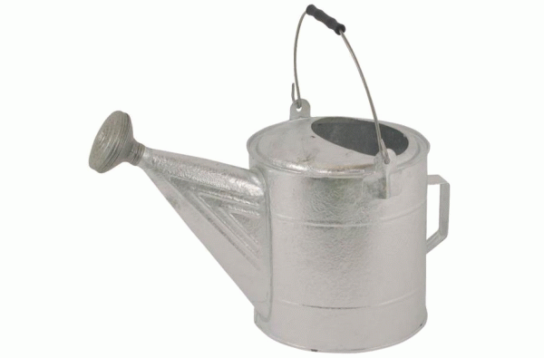 Large Galvanized Watering Can