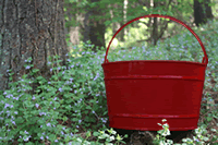 Burgundy Enamel 16 Quart Tub