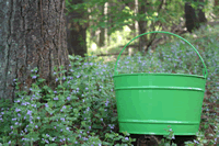 Electric Green Enamel 16 Quart Tub