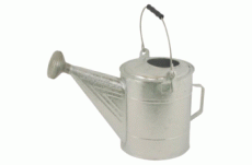 2 Gallon Galvanized Watering Can