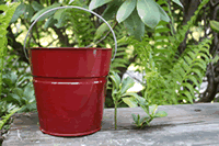 2 Quart Burgundy Bucket