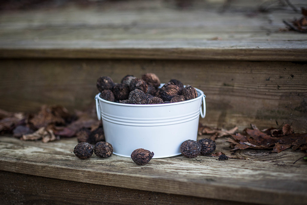 Decoration Bucket