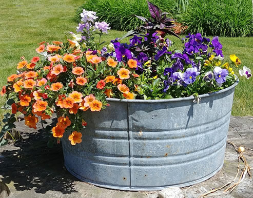 Galvanized Containers For Gardening