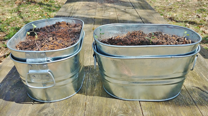 small rustic galvanized containers