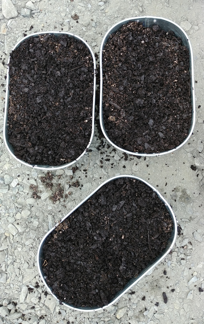 small galvanized planter with soil