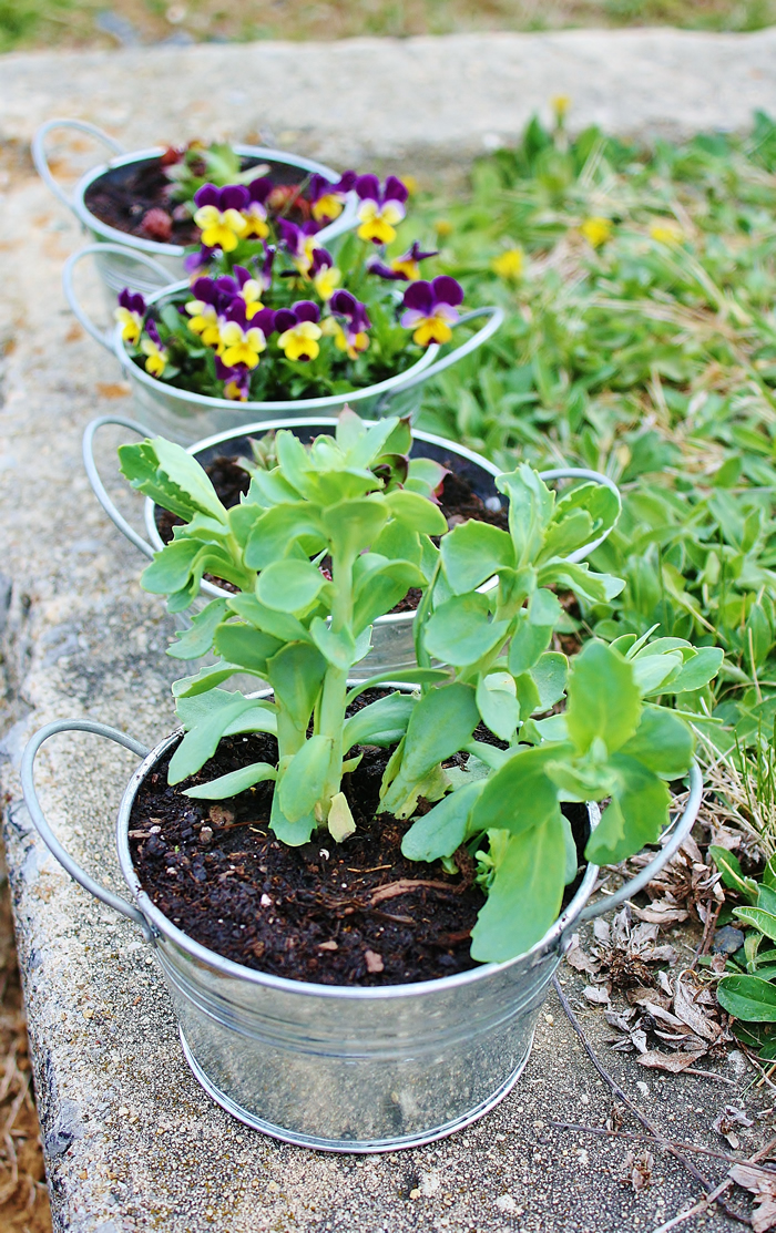 small galvanized planter