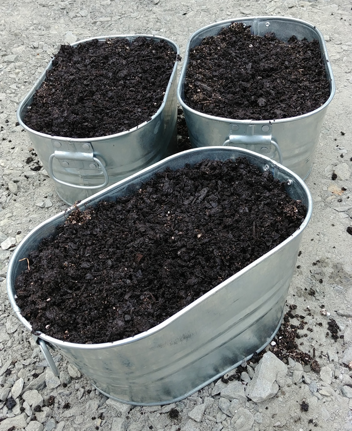 galvanized metal planter tubs