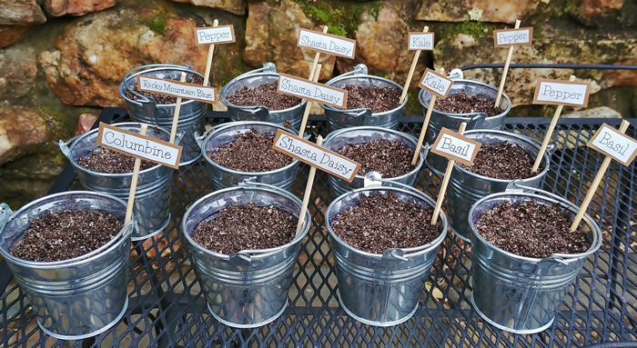 planting in galvanized containers