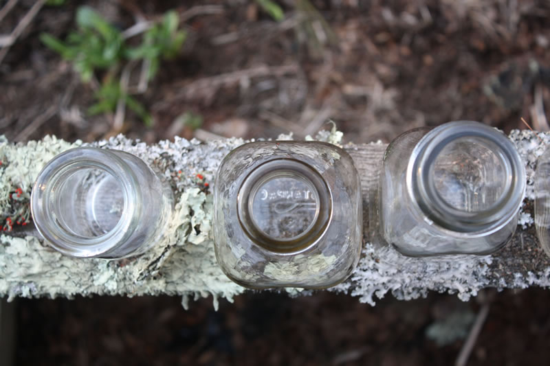 Glass Milk Bottles - Bucket Outlet