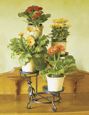 Achla Cascading Plant Stand 