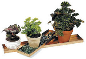 Achla Long Copper Trays 