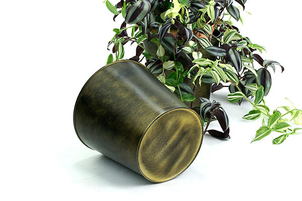 Brushed Brass Tin Pot Cover
