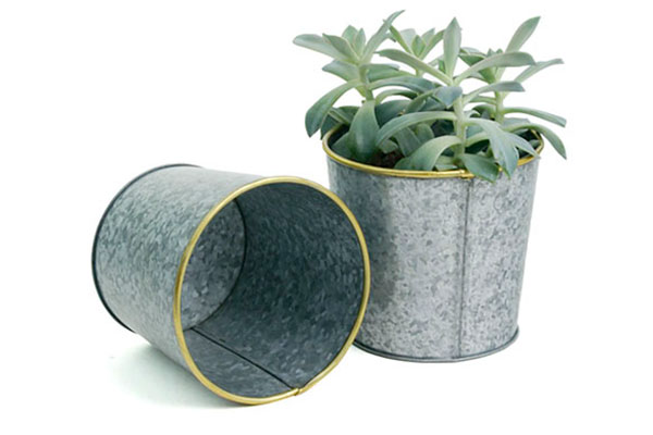 Mini Galvanized Pot with Brass Trim