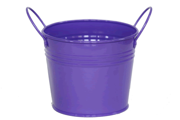 Birthday Bucket