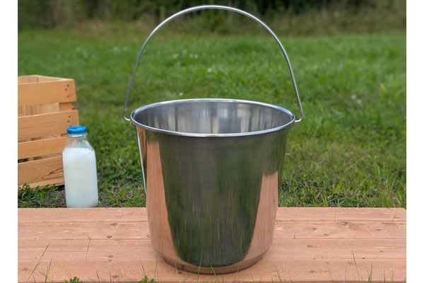 Stainless Steel Milk Bucket