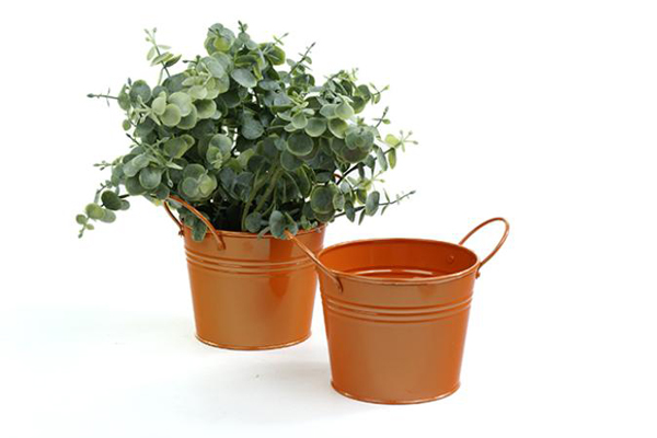 Tin Buckets