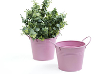 Pink Tin Bucket