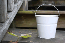 White Metal Bucket