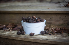 White Decoration Bucket