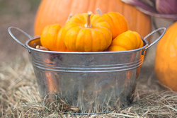 Galvanized Metal Wash Tub