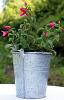 Acid Wash Galvanized Pail