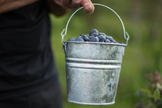 small galvanized hot dipped bucket